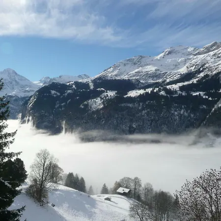 Flat #1, Aberot, Wengen, Switzerland *